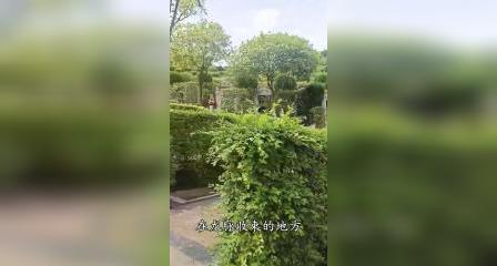 白塔山公墓报价_白塔山公墓可以上坟吗_白塔山公墓