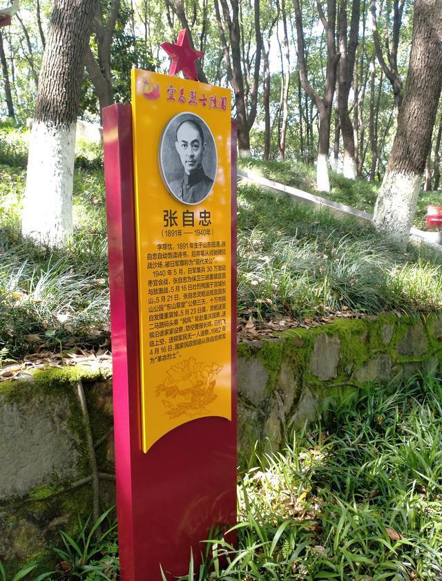 苏州东山华侨公墓_苏州华侨公墓报价_苏州东山华侨公墓杨湾墓区
