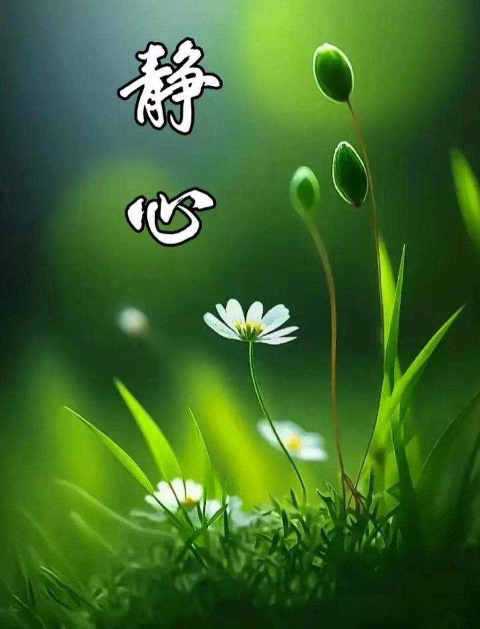 法力陵墓的静止间在哪_法力静止间钥匙_法力陵墓静止间钥匙打不开