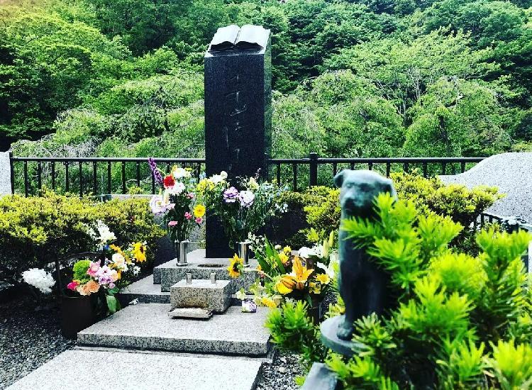 宠物公墓西瓜_宠物公墓迎扫墓高峰妹子_宠物公墓2