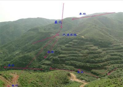 墓地风水大师在线调研_墓地风水大师_墓地风水大师调研